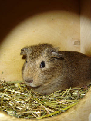 dsc01186.jpg