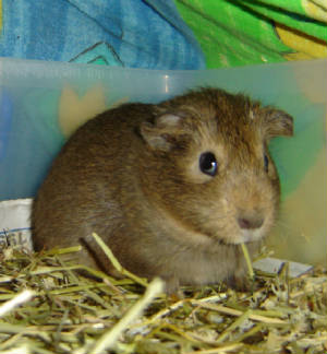 dsc01227.jpg