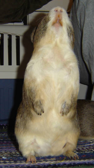 dsc01721.jpg