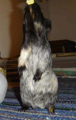 dsc01722.jpg