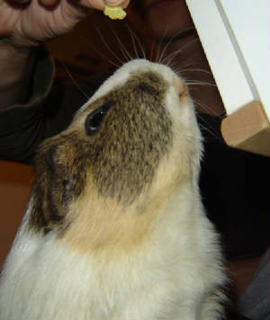 dsc01726.jpg