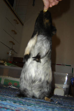 dsc01728.jpg